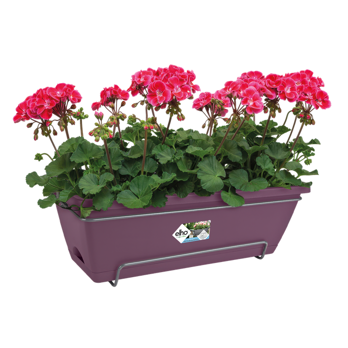 barcelona allin1 50cm porpora acero